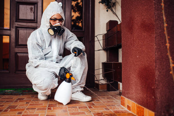 Attic and Crawl Space Rodent Treatment in Sylvester